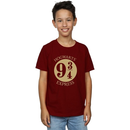 Vêtements Garçon T-shirts manches courtes Harry Potter Platrform Nine And Three-Quarters Violet