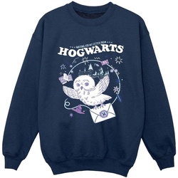 Vêtements Garçon Sweats Harry Potter Owl Letter From Hogwarts Bleu