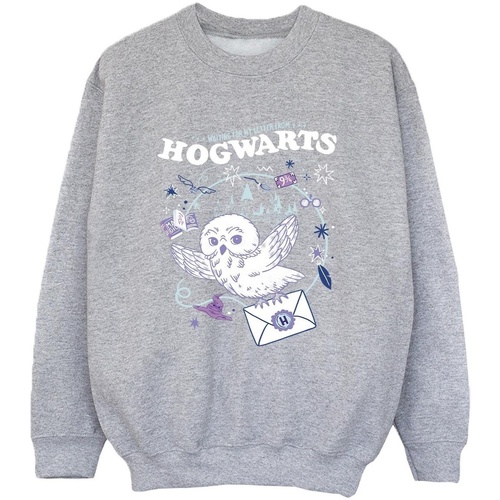 Vêtements Garçon Sweats Harry Potter Owl Letter From Hogwarts Gris