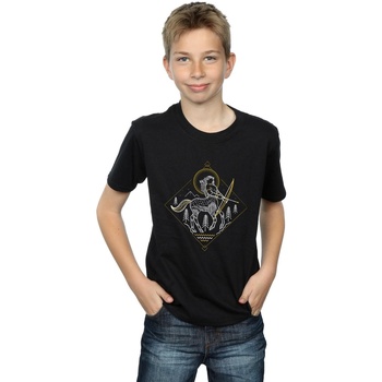 Vêtements Garçon T-shirts manches courtes Harry Potter Centaur Line Art Noir
