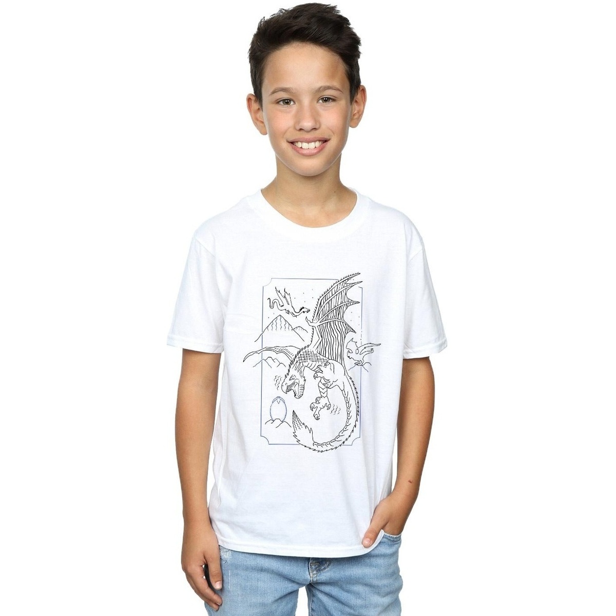Vêtements Garçon T-shirts manches courtes Harry Potter Dragon Line Art Blanc