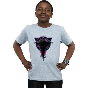 Vêtements Garçon T-shirts manches courtes Harry Potter Neon Dementors Gris
