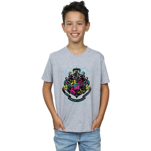 Vêtements Garçon T-shirts manches courtes Harry Potter Neon Hogwarts Crest Gris