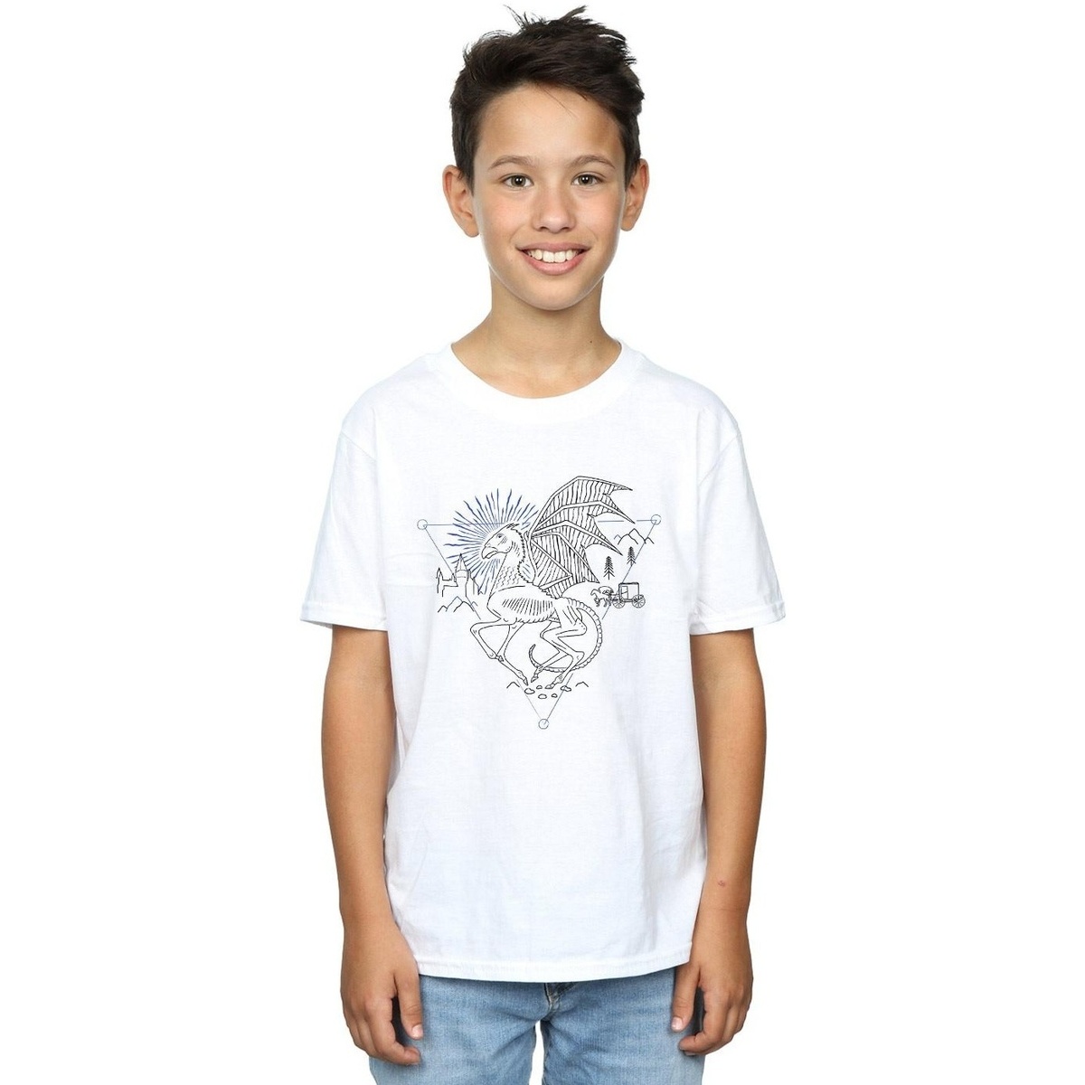 Vêtements Garçon T-shirts manches courtes Harry Potter Thestral Line Art Blanc