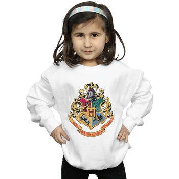 Vêtements Fille Sweats Harry Potter Quidditch At Hogwarts Blanc