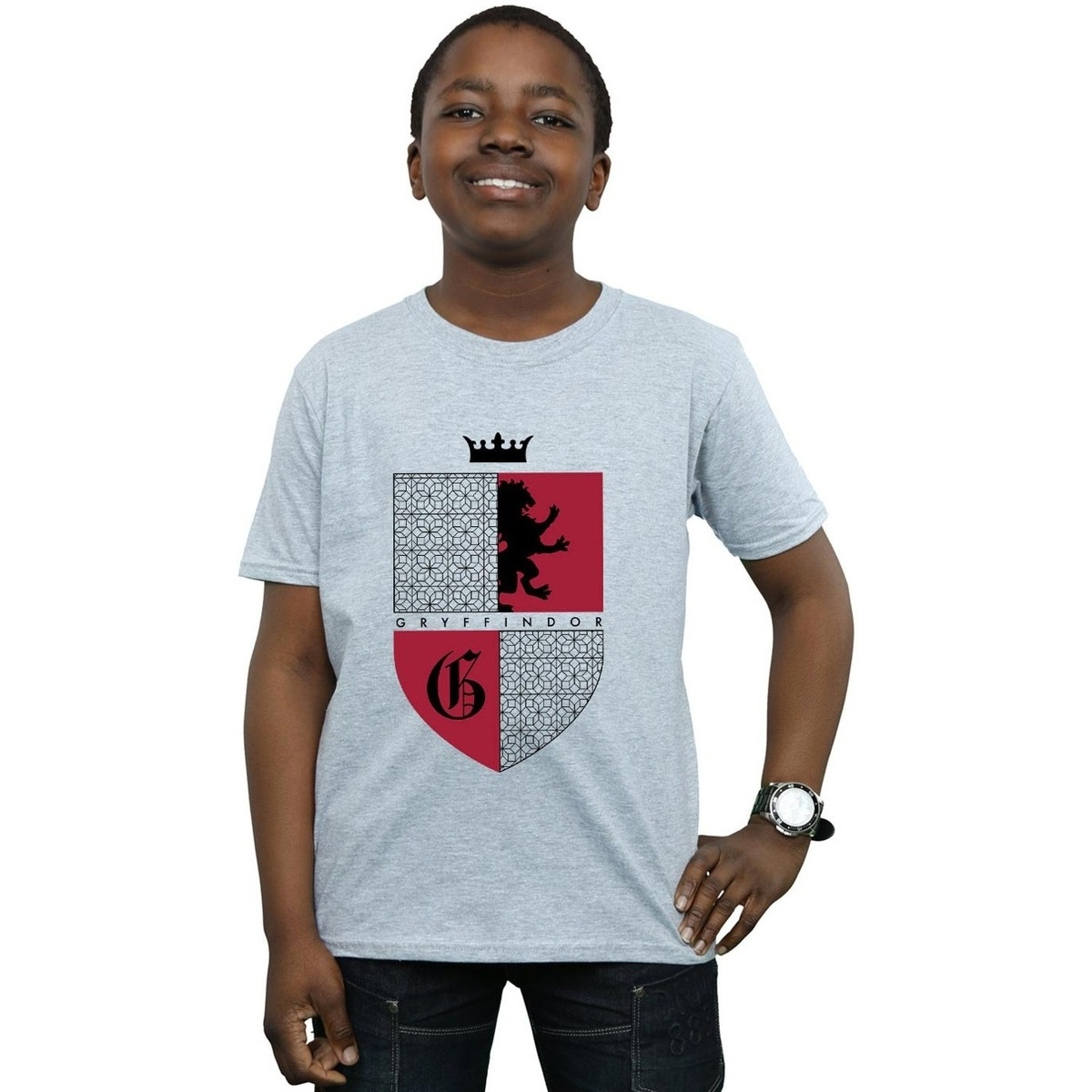 Vêtements Garçon T-shirts LINEN courtes Harry Potter Gryffindor Shield Gris
