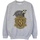 Vêtements Garçon Sweats Harry Potter Hufflepuff Sketch Crest Gris