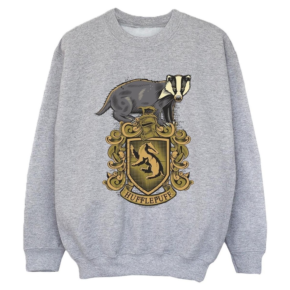 Vêtements Garçon Sweats Harry Potter Hufflepuff Sketch Crest Gris