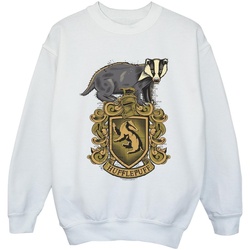 Vêtements Garçon Sweats Harry Potter Hufflepuff Sketch Crest Blanc