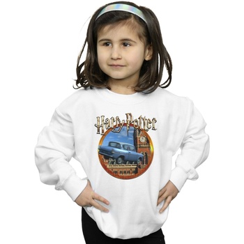 Vêtements Fille Sweats Harry Potter Flying Car Blanc