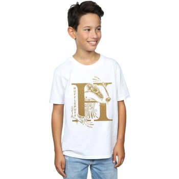 Vêtements Garçon T-shirts manches courtes Harry Potter Hufflepuff Glitter Blanc