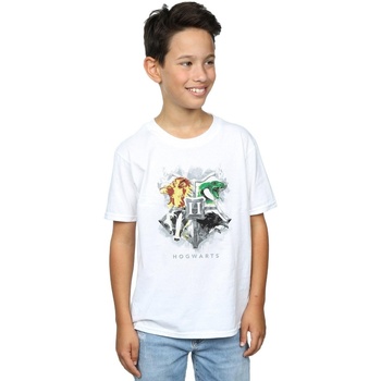 Vêtements Garçon T-shirts & Polos Harry Potter  Blanc