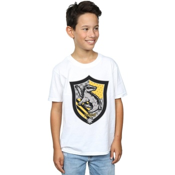 Vêtements Garçon T-shirts manches courtes Harry Potter Hufflepuff Crest Flat Blanc