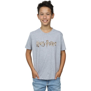 Vêtements Garçon T-shirts manches courtes Harry Potter Full Colour Logo Gris