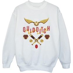 Vêtements Garçon Sweats Harry Potter Quidditch Golden Snitch Blanc
