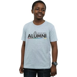 Vêtements Garçon T-shirts manches courtes Harry Potter Hogwarts Alumni Gris