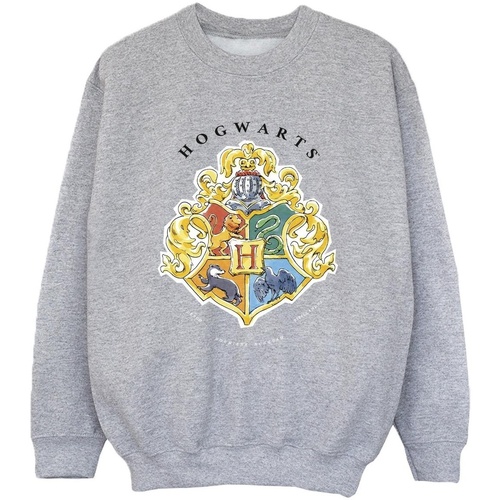 Vêtements Garçon Sweats Harry Potter Hufflepuff Chest Badge Gris