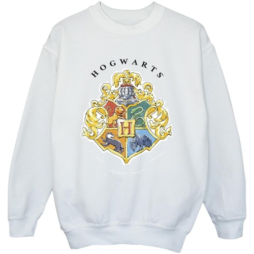 Vêtements Garçon Sweats Harry Potter  Blanc