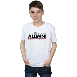 Vêtements Garçon T-shirts manches courtes Harry Potter Hogwarts Alumni Gryffindor Blanc