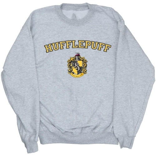 Vêtements Fille Sweats Harry Potter Hufflepuff Crest Gris