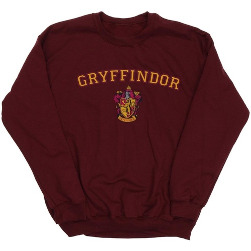 Vêtements Fille Sweats Harry Potter Gryffindor Crest Multicolore