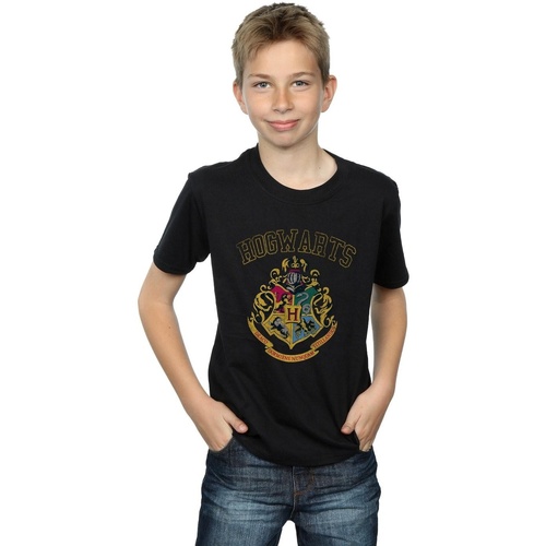 Vêtements Garçon T-shirts manches courtes Harry Potter Varsity Style Crest Noir
