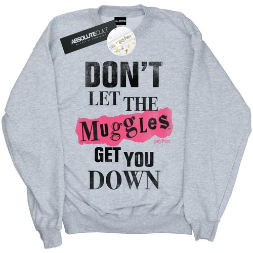 Vêtements Fille Sweats Harry Potter Muggles Clippings Gris