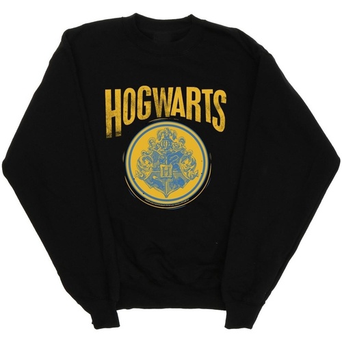 Vêtements Fille Sweats Harry Potter Hogwarts Circle Crest Noir