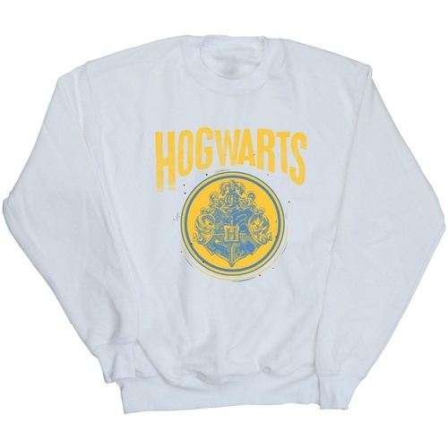 Vêtements Fille Sweats Harry Potter Hogwarts Circle Crest Blanc