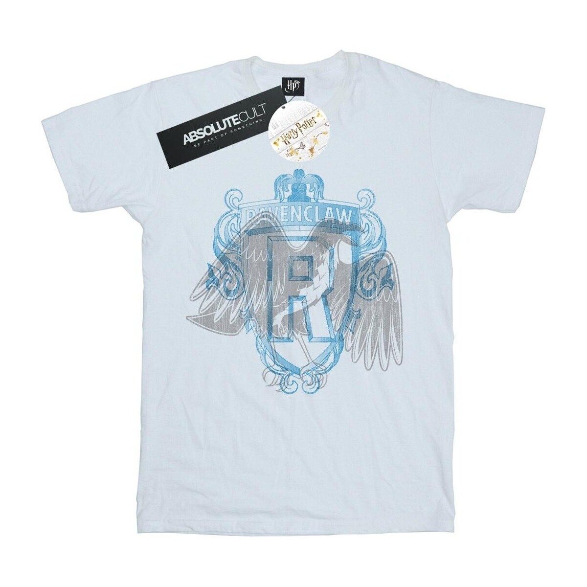 Vêtements Garçon T-shirts manches courtes Harry Potter Ravenclaw Raven Crest Blanc