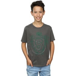 Vêtements Garçon T-shirts manches courtes Harry Potter Slytherin Serpent Crest Multicolore