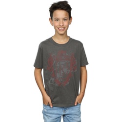 Vêtements Garçon T-shirts manches courtes Harry Potter Gryffindor Lion Crest Multicolore