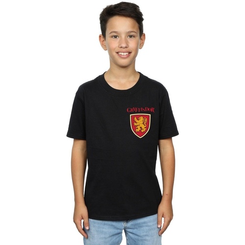Vêtements Garçon T-shirts manches courtes Harry Potter Gryffindor Lion Faux Pocket Noir