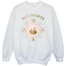 Vêtements Fille Sweats Harry Potter Hogwarts Constellation Blanc