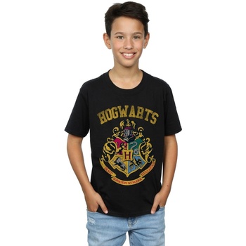 Vêtements Garçon T-shirts manches courtes Harry Potter Filled Crest Varsity Noir