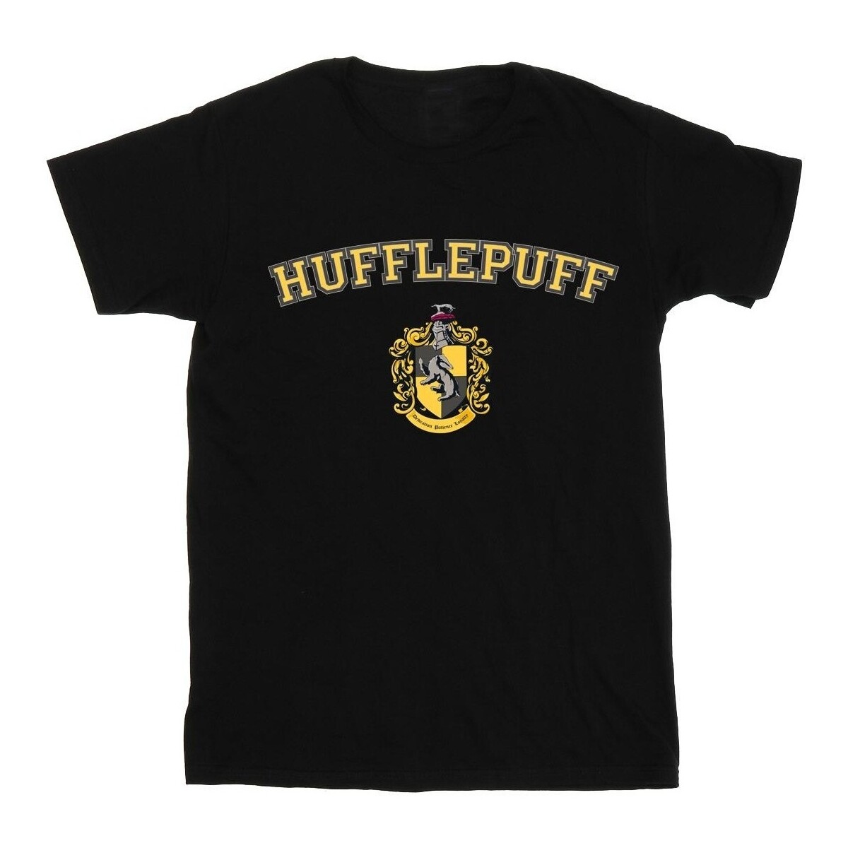 Vêtements Garçon T-shirts manches courtes Harry Potter Hufflepuff Crest Noir