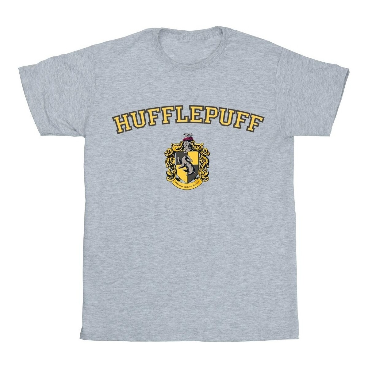 Vêtements Garçon T-shirts manches courtes Harry Potter Hufflepuff Crest Gris