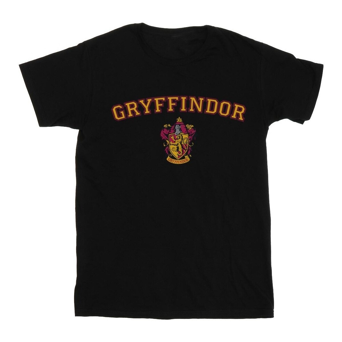 Vêtements Garçon T-shirts manches courtes Harry Potter Gryffindor Crest Noir