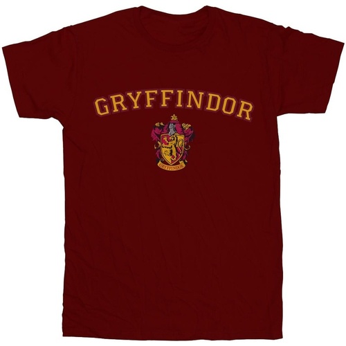 Vêtements Garçon T-shirts manches courtes Harry Potter Gryffindor Crest Multicolore