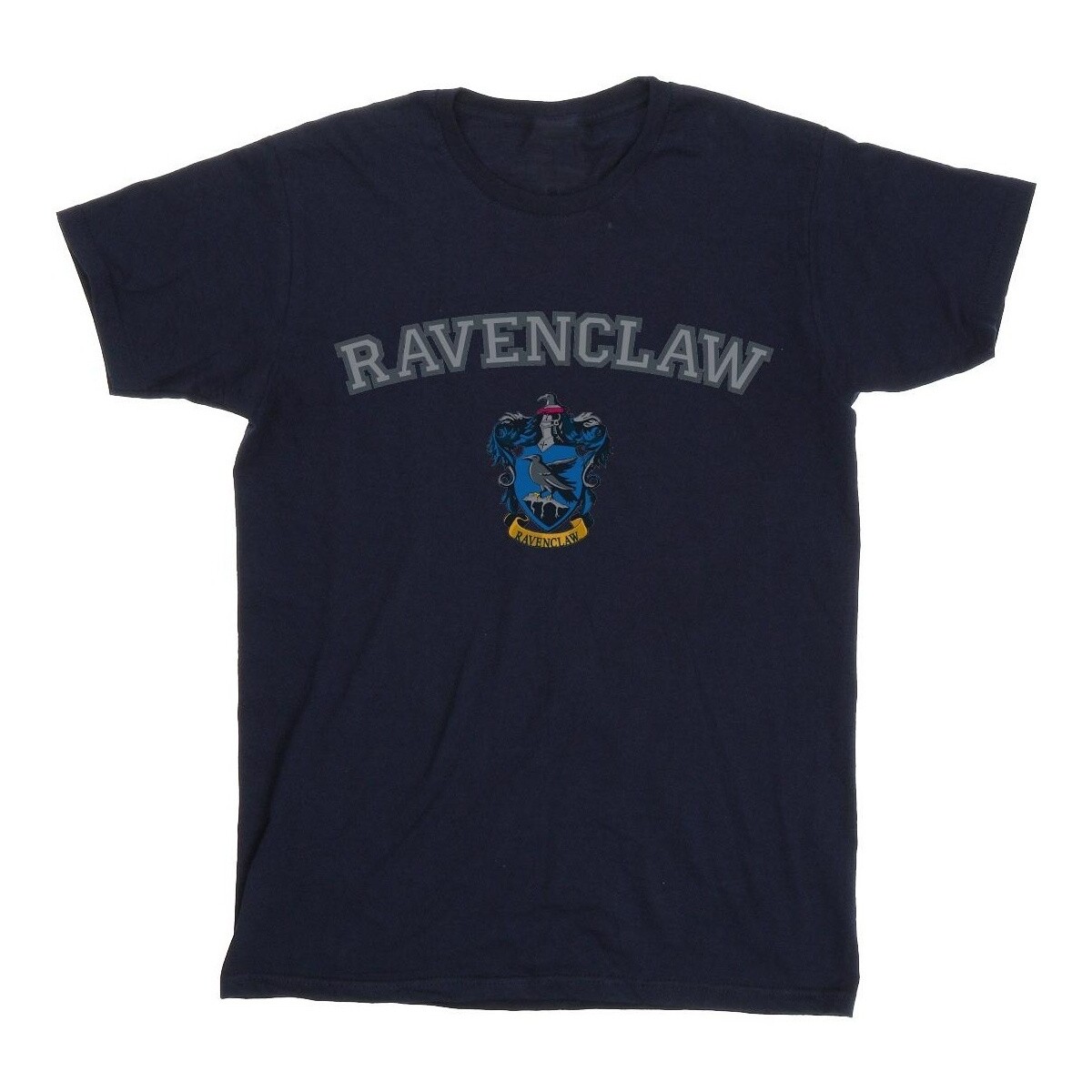 Vêtements Garçon T-shirts manches courtes Harry Potter Ravenclaw Crest Bleu