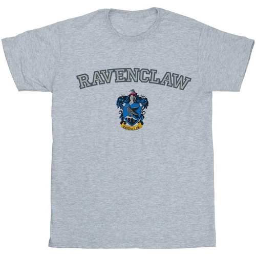 Vêtements Garçon T-shirts manches courtes Harry Potter Ravenclaw Crest Gris
