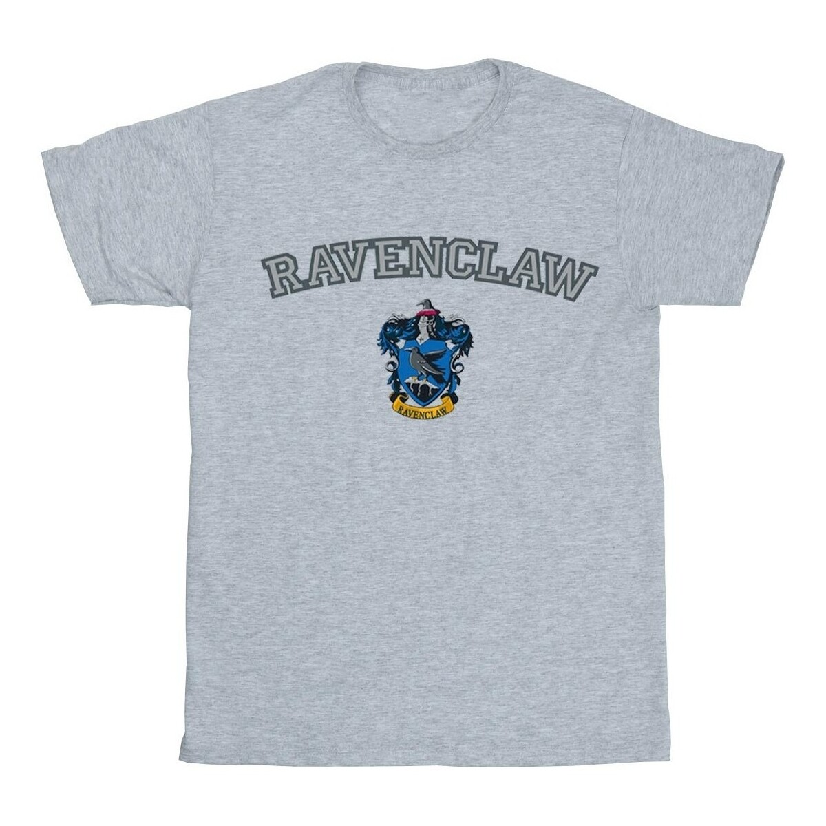 Vêtements Garçon T-shirts Sweatshirt manches courtes Harry Potter  Gris