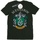 Vêtements Garçon T-shirts manches courtes Harry Potter Slytherin Crest Vert