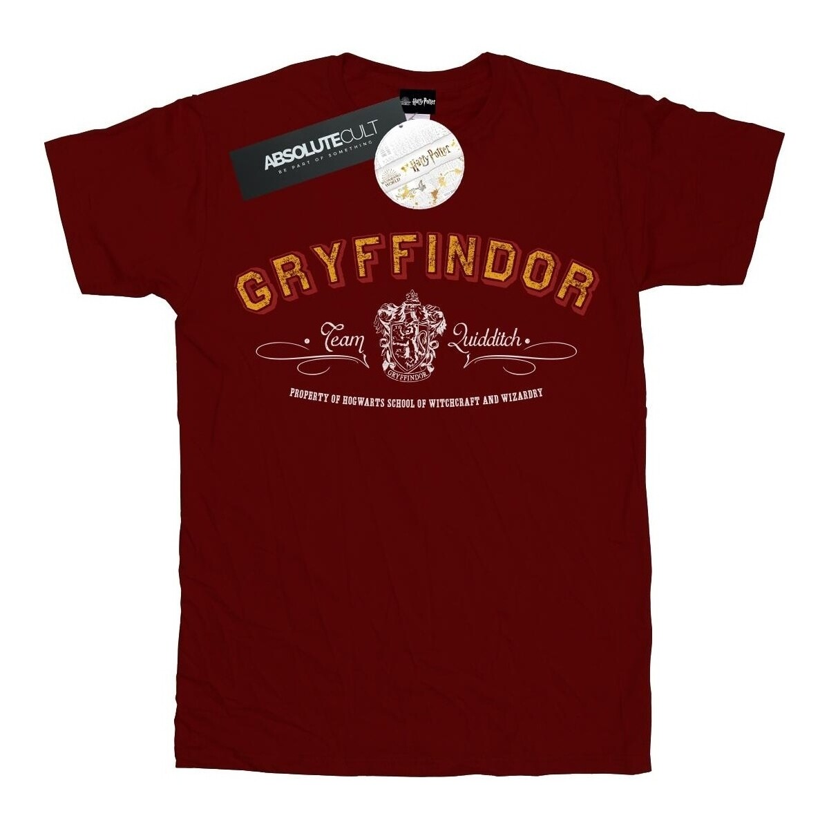 Vêtements Garçon T-shirts manches courtes Harry Potter Gryffindor Team Quidditch Multicolore