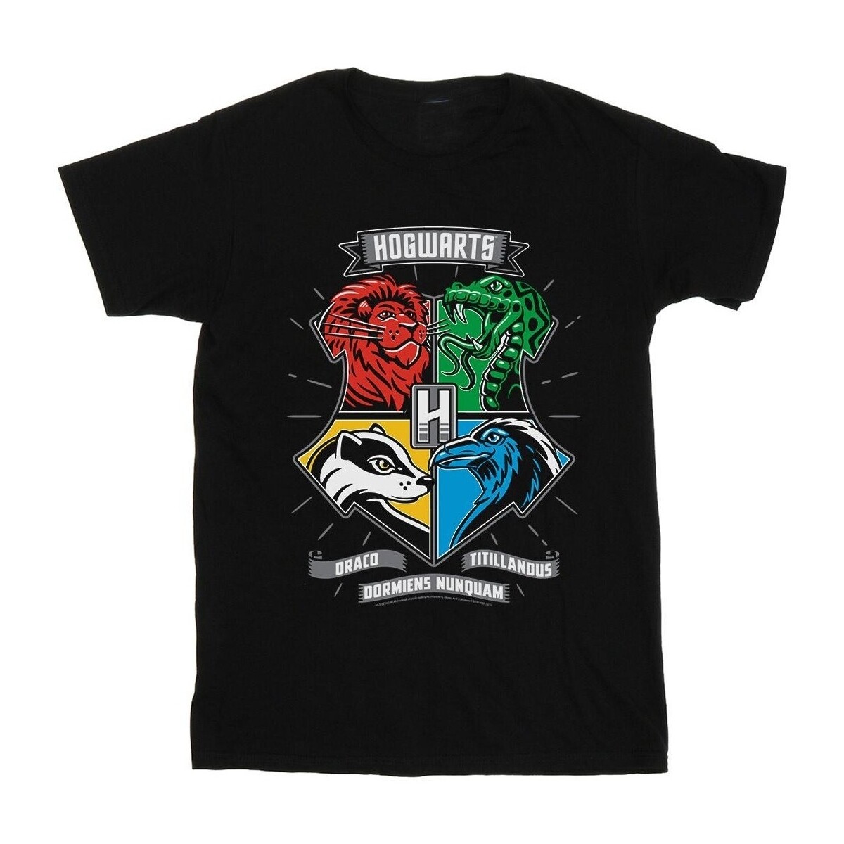 Vêtements Garçon T-shirts manches courtes Harry Potter Hogwarts Toon Crest Noir