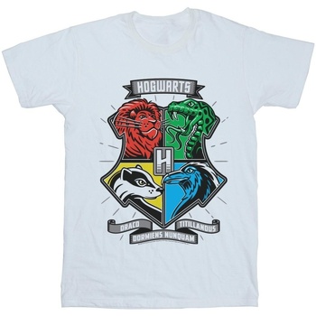 Vêtements Garçon T-shirts manches courtes Harry Potter Hogwarts Toon Crest Blanc