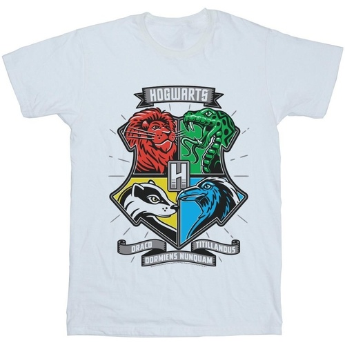 Vêtements Garçon T-shirts manches courtes Harry Potter Hogwarts Toon Crest Blanc