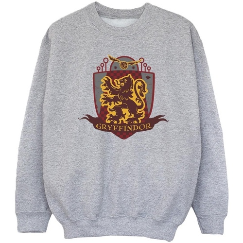 Vêtements Fille Sweats Harry Potter Gryffindor Chest Badge Gris