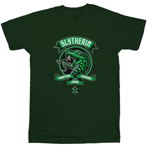 Vêtements Garçon T-shirts manches courtes Harry Potter Slytherin Toon Crest Vert