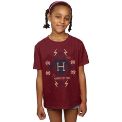 Vêtements Fille T-shirts manches longues Harry Potter Christmas Knit Multicolore